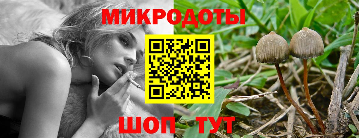 Галлюциногенные грибы Cubensis  Вход с VPN  Сунжа  Галлюциногенные грибы GOLDEN TEACHER 