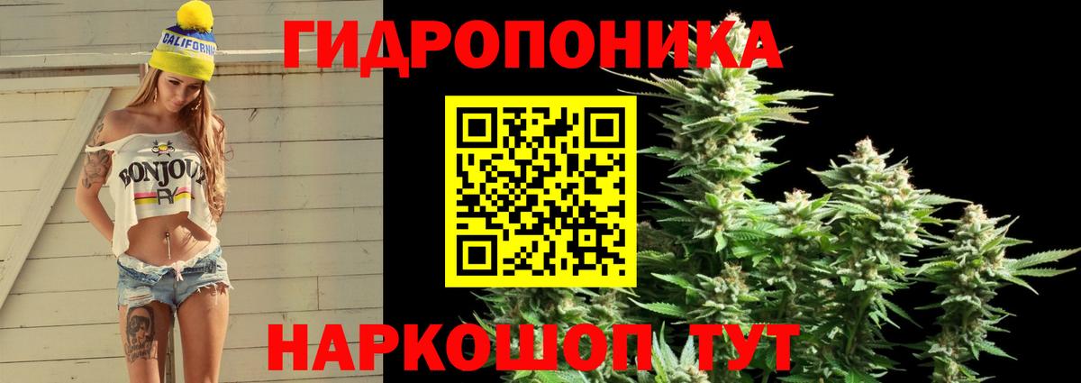 Конопля конопля  Вход с VPN  Бошки марихуана SATIVA & INDICA  Сунжа  Бошки марихуана VHQ 